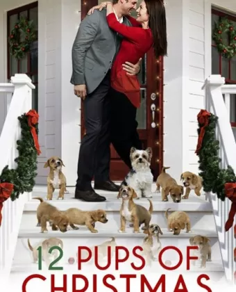 12 щенков Рождества / 12 Pups of Christmas