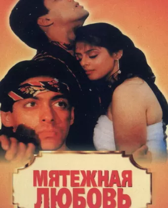 Мятежная любовь / Baaghi: A Rebel for Love