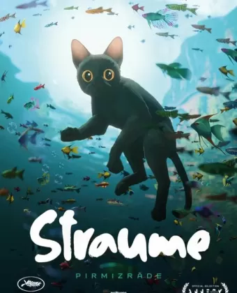 Течение / Straume