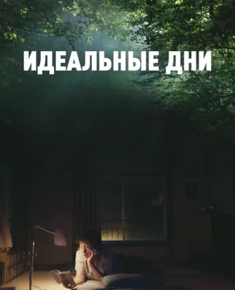 Идеальные дни / Perfect Days