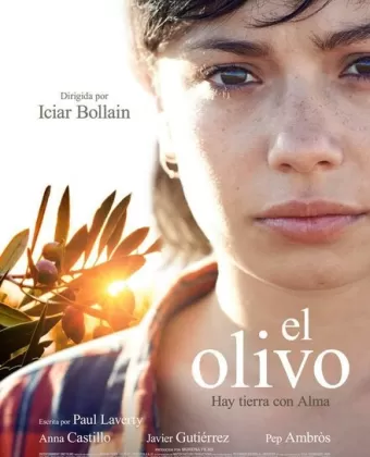 Олива / El olivo