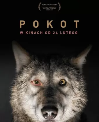 След зверя / Pokot