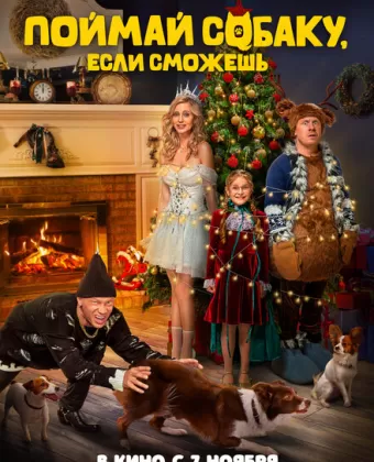 Поймай собаку, если сможешь