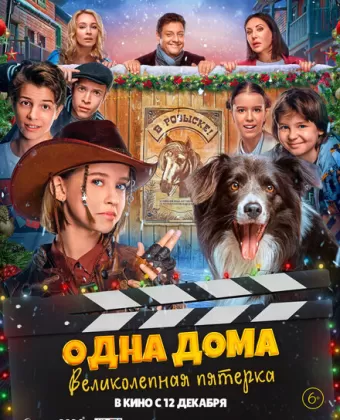 Одна дома: Великолепная пятерка