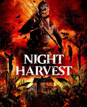Ночной урожай / Night Harvest