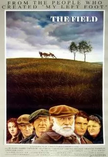 Поле / The Field