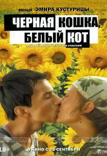 Черная кошка, белый кот / Crna mačka, beli mačor