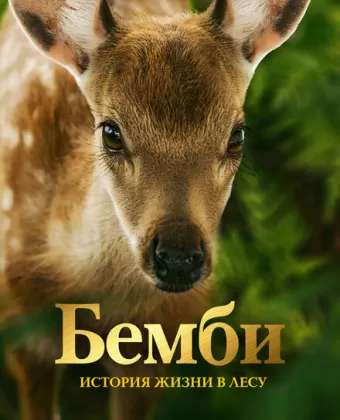 Бемби. История жизни в лесу / Bambi, l'histoire d'une vie dans les bois