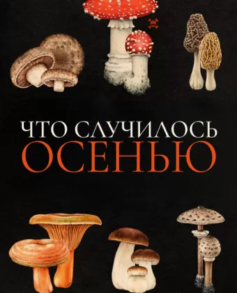 Что случилось осенью / Quand vient l'automne
