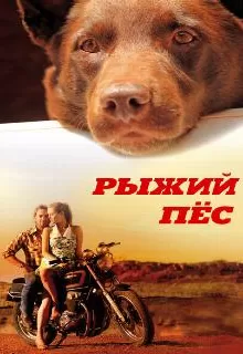Рыжий пес / Red Dog