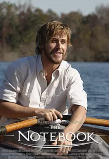 Дневник памяти / The Notebook
