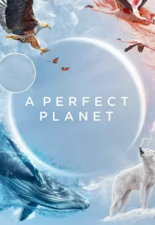 Идеальная планета / A Perfect Planet
