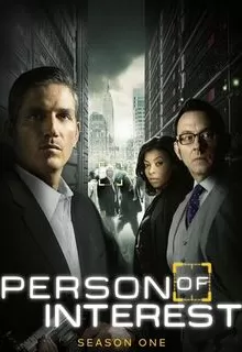 В поле зрения / Person of Interest