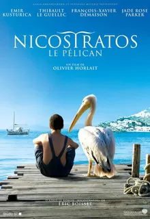 Пеликан / Nicostratos le pélican