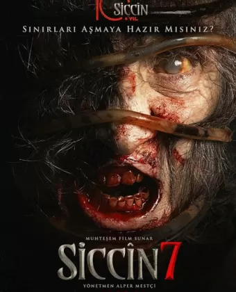 Сиджин 7 / Siccin 7