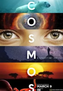 Космос: Пространство и время / Cosmos: A Spacetime Odyssey