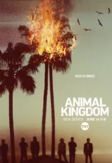 По волчьим законам / Animal Kingdom