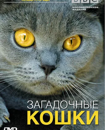BBC: Загадочные кошки / The Cat Connection