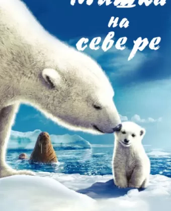 Мишка на Севере / Arctic Tale