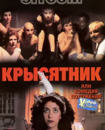 Крысятник / Sitcom