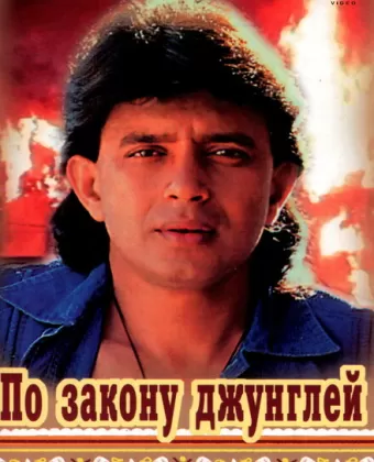 По закону джунглей