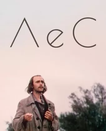 Лес
