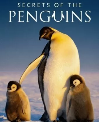 Тайны пингвинов / Secrets of the Penguins