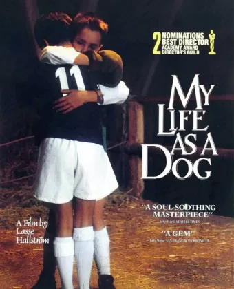 Моя собачья жизнь / Mitt liv som hund