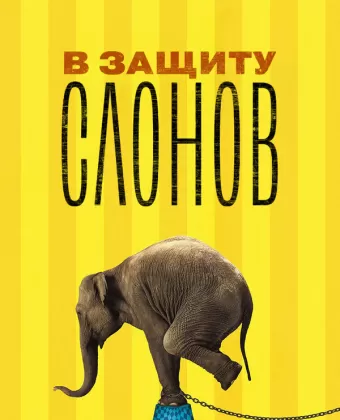 В защиту слонов / An Apology to Elephants