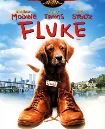 Флюк / Fluke